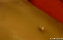 Tatted وقحة يحصل على فم مليء بالنائب الرئيس.