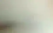 لطيف فتاة آسيوية صغيرة تظهر قبالة الحمار ضخمة.