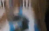 شاعر المليون في نهاية طويلة ديك.