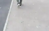 هؤلاء الملائكة البالغون من العمر 18 عامًا على استعداد لنشر أجنحتهم واللعنة على أي شخص يجرؤ على الاقتراب منهم.