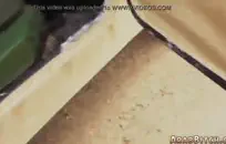 كلام بذيء يا إلهي ، انظر إلى هذا الثلاثي المثير الذي يلعب في الماء إنهم يدخنون ساخناً وهم مبللون.