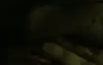 عارية الفتيان في سن المراهقة على التوالي في أفلام السرير والأولاد مص بعضهم البعض.