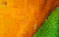 أنا الفتاة الأكثر إثارة في السنة.