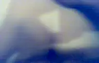 تحصل مارس الجنس مفلس شقراء ويأخذ بعض نائب الرئيس في الفم.