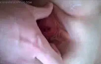 مارس الجنس مع زوجة صديقي في المنزل.