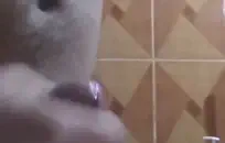 التبول على الأرض ، التبول ، القذف في سراويل داخلية ، ثم فركها في جميع أنحاء وجهي.