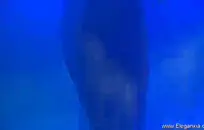 مفلس شقراء المثير مع الحمار كبيرة يحصل من الصعب.