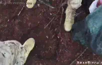 الساخنة الآسيوية مع ضخمة الثدي تمتص لها أفضل صديق.