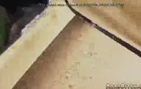 زوجتي كبيرة الثدي والحمار.